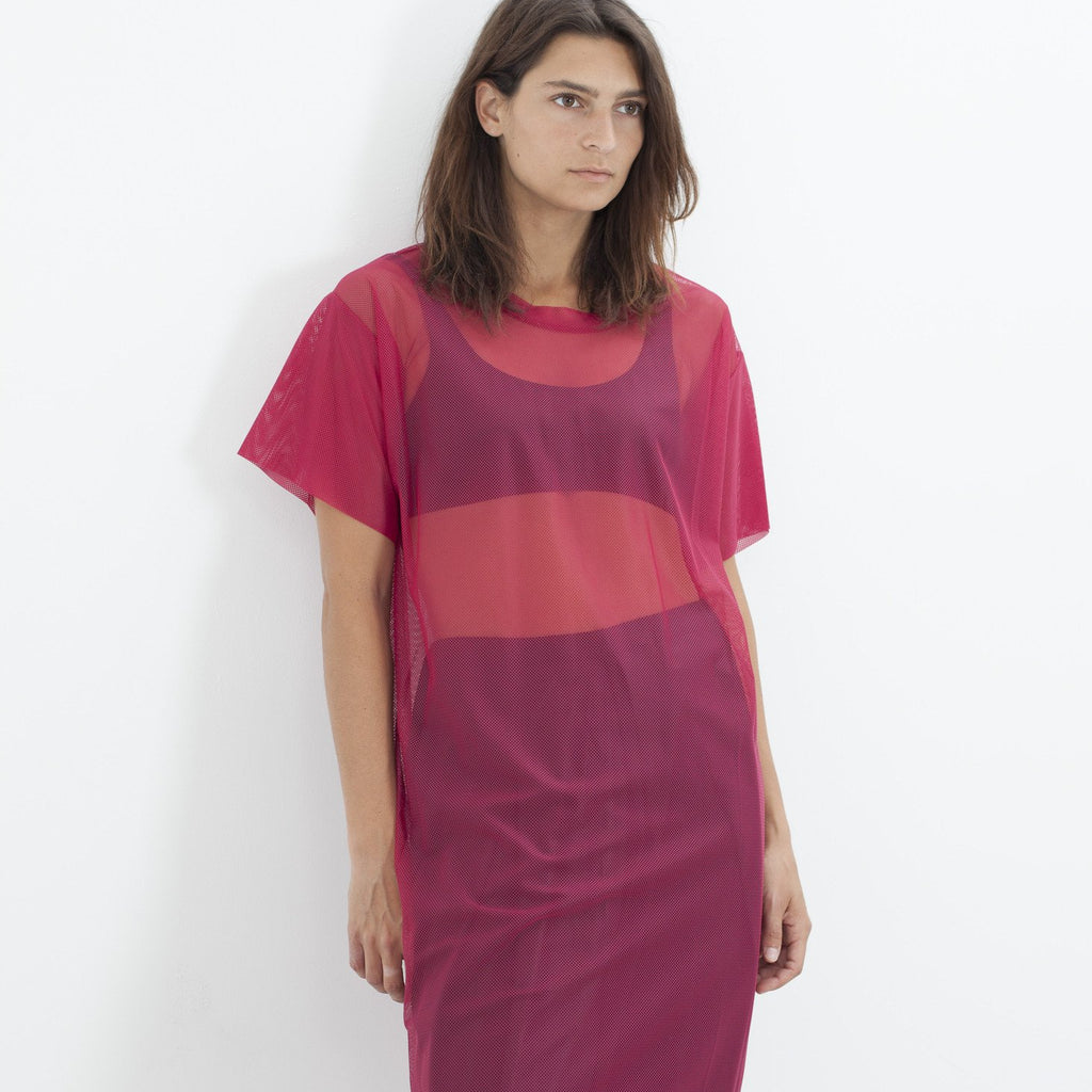 Mesh Over Dress in Pink